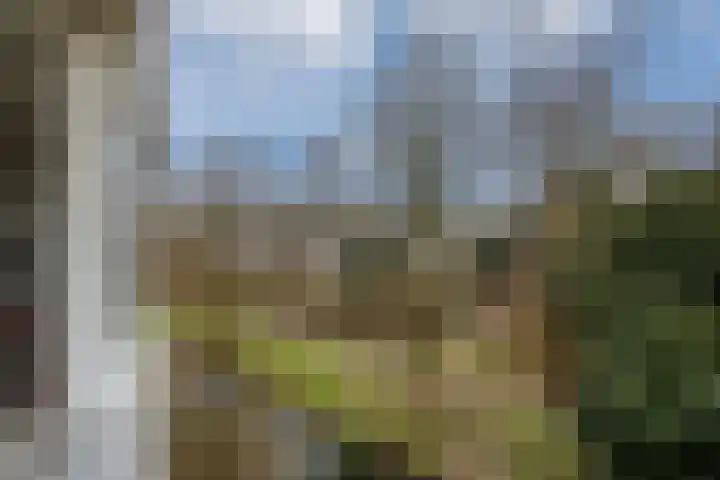 Hondsdraf 49 Leusden thumbnail 21