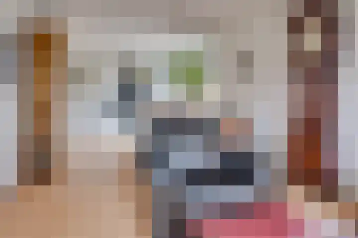 Hondsdraf 49 Leusden thumbnail 8