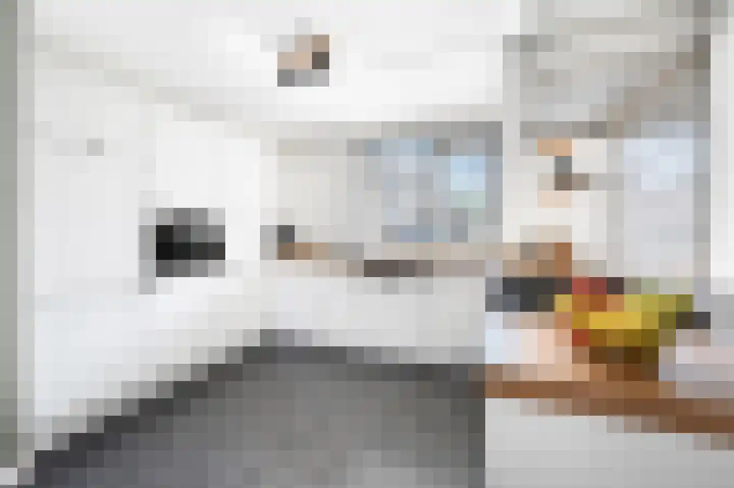 Hondsdraf 49 Maasland thumbnail 10