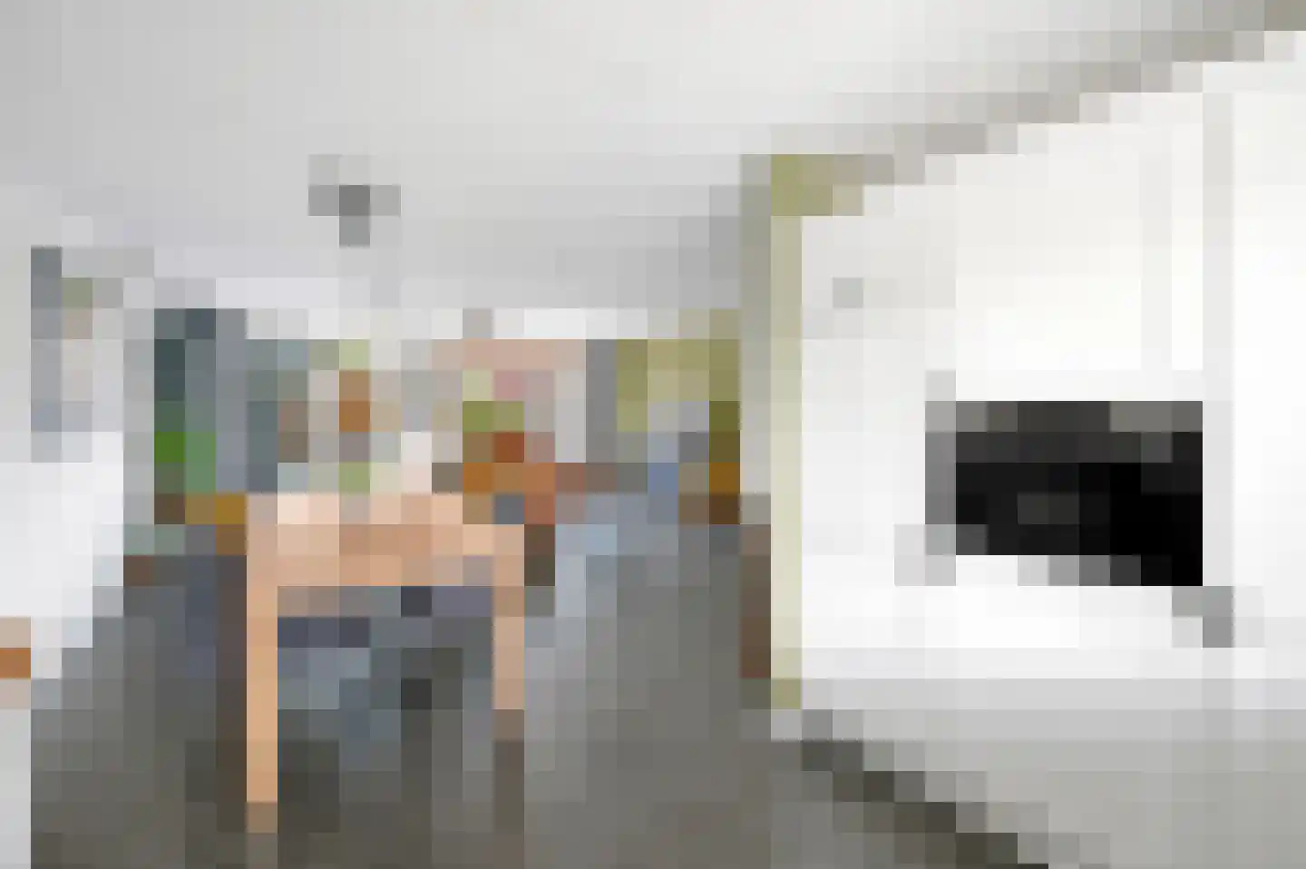 Hondsdraf 49 Maasland thumbnail 11