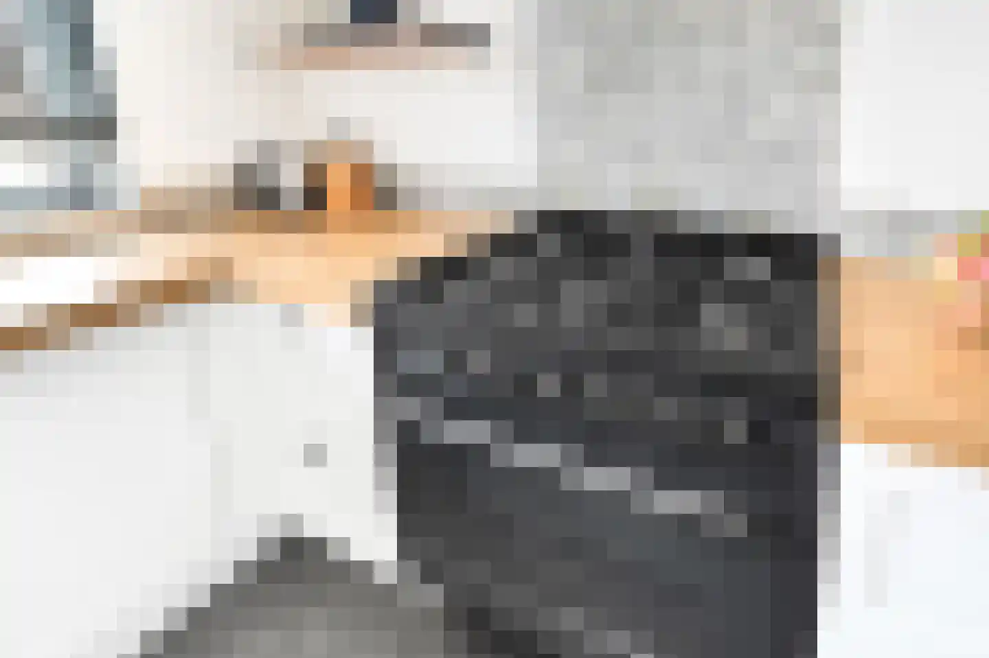 Hondsdraf 49 Maasland thumbnail 12