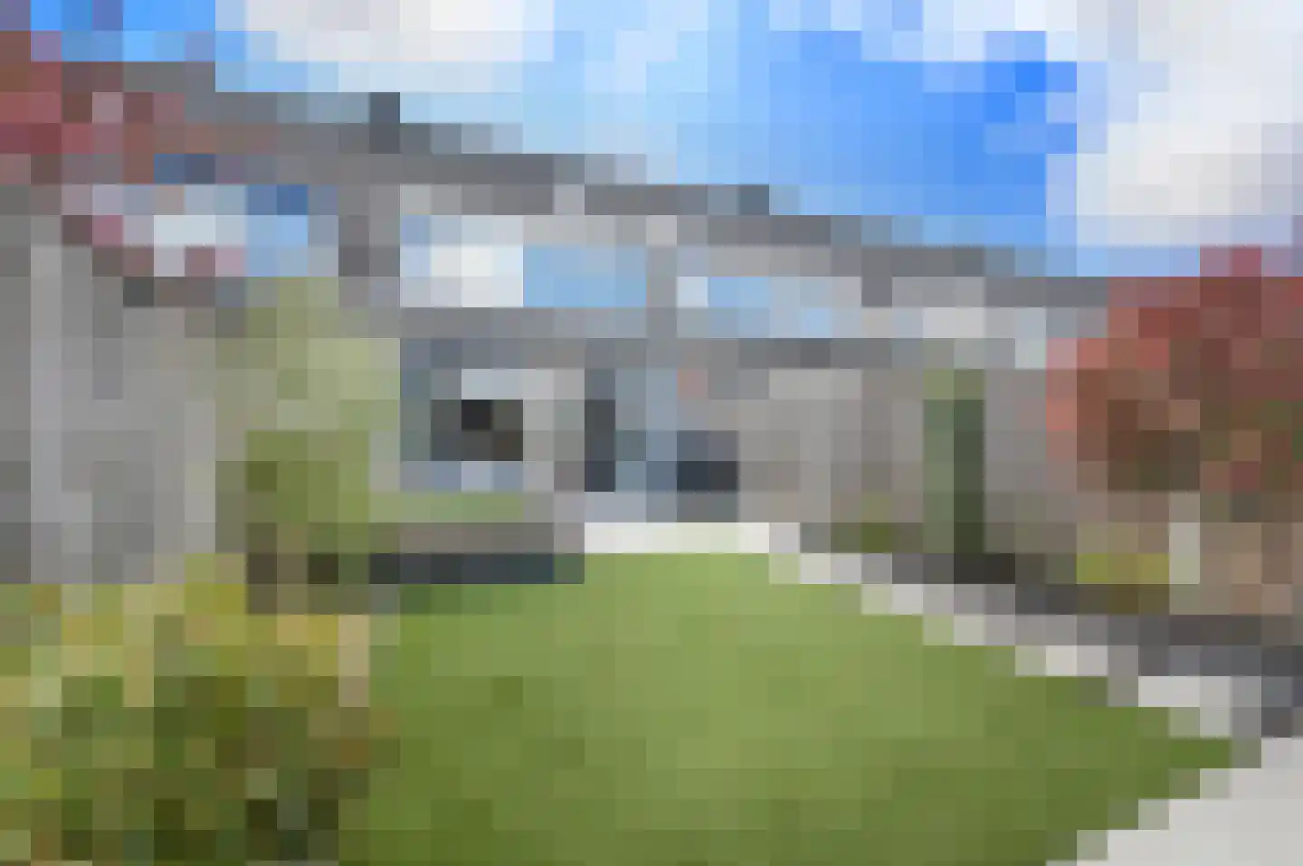 Hondsdraf 49 Maasland thumbnail 15