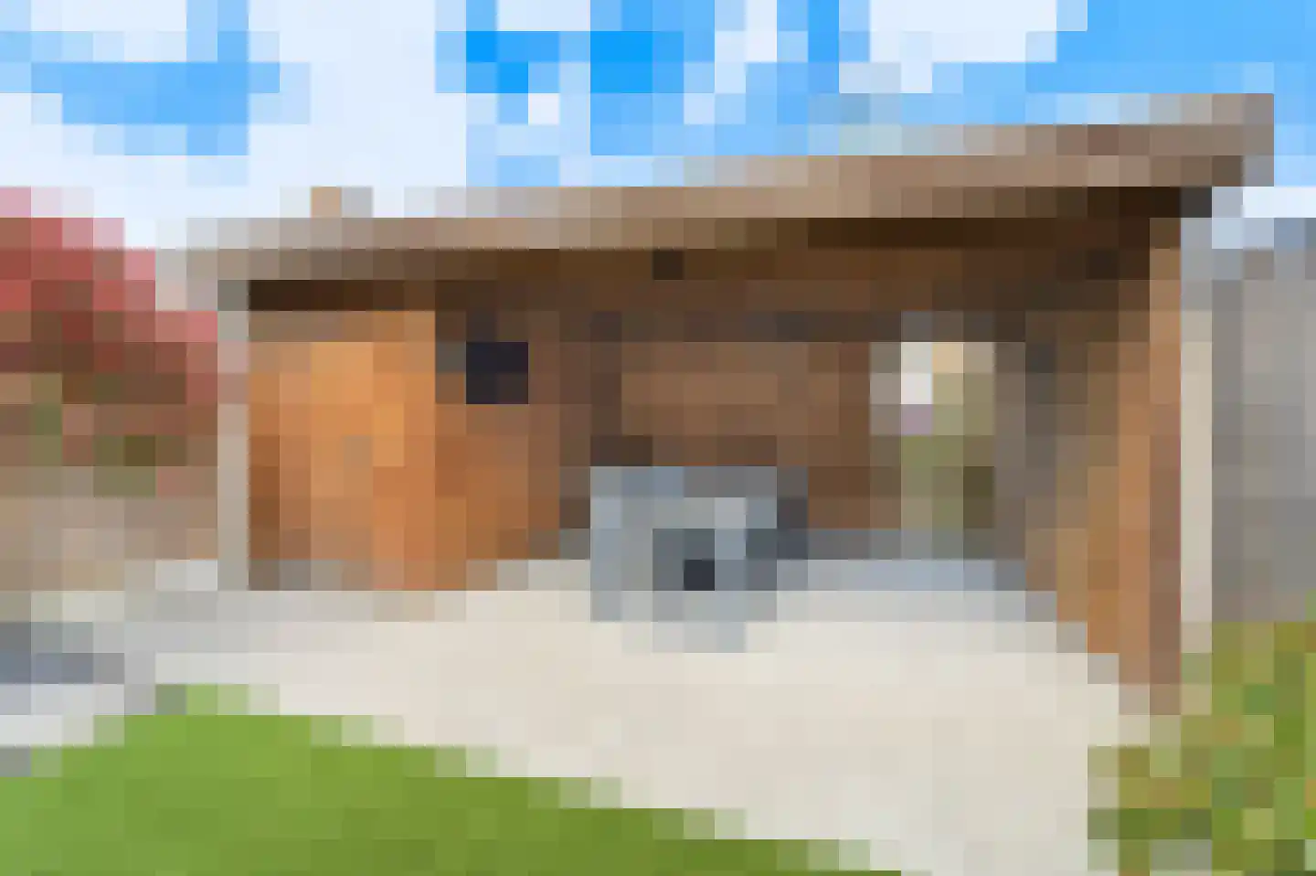 Hondsdraf 49 Maasland thumbnail 17