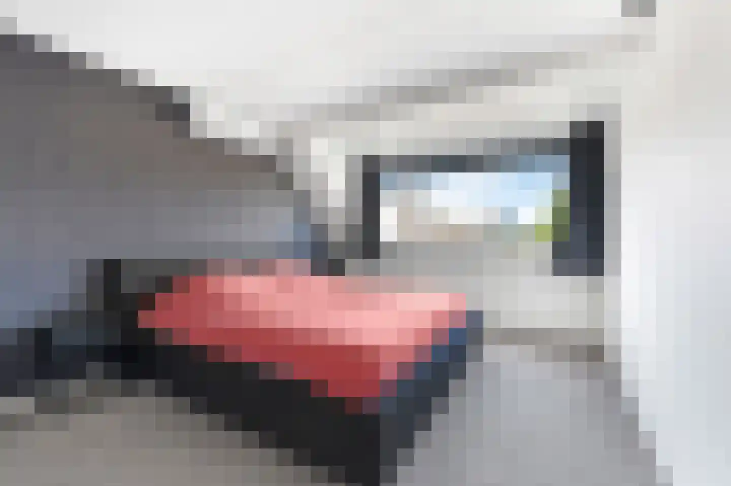 Hondsdraf 49 Maasland thumbnail 20