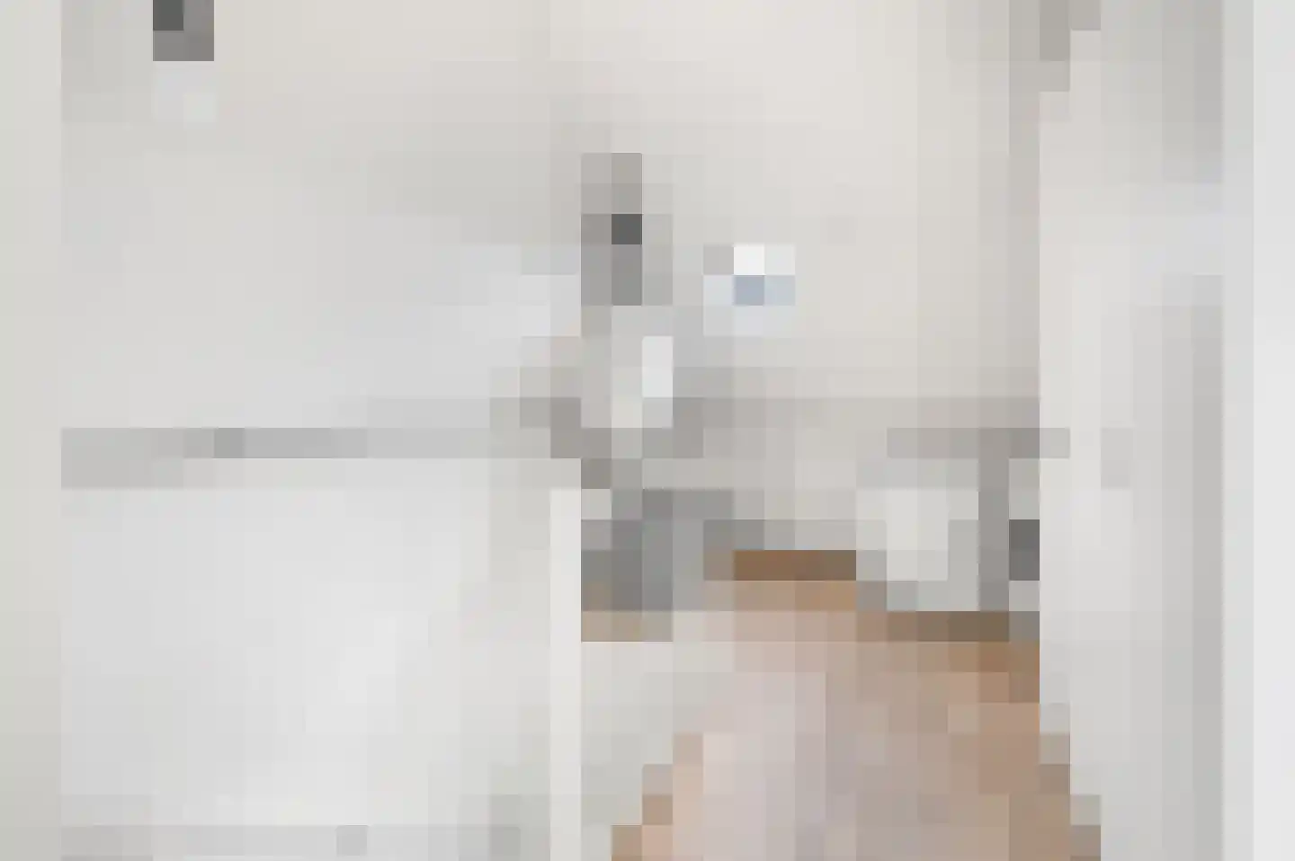 Hondsdraf 49 Maasland thumbnail 33