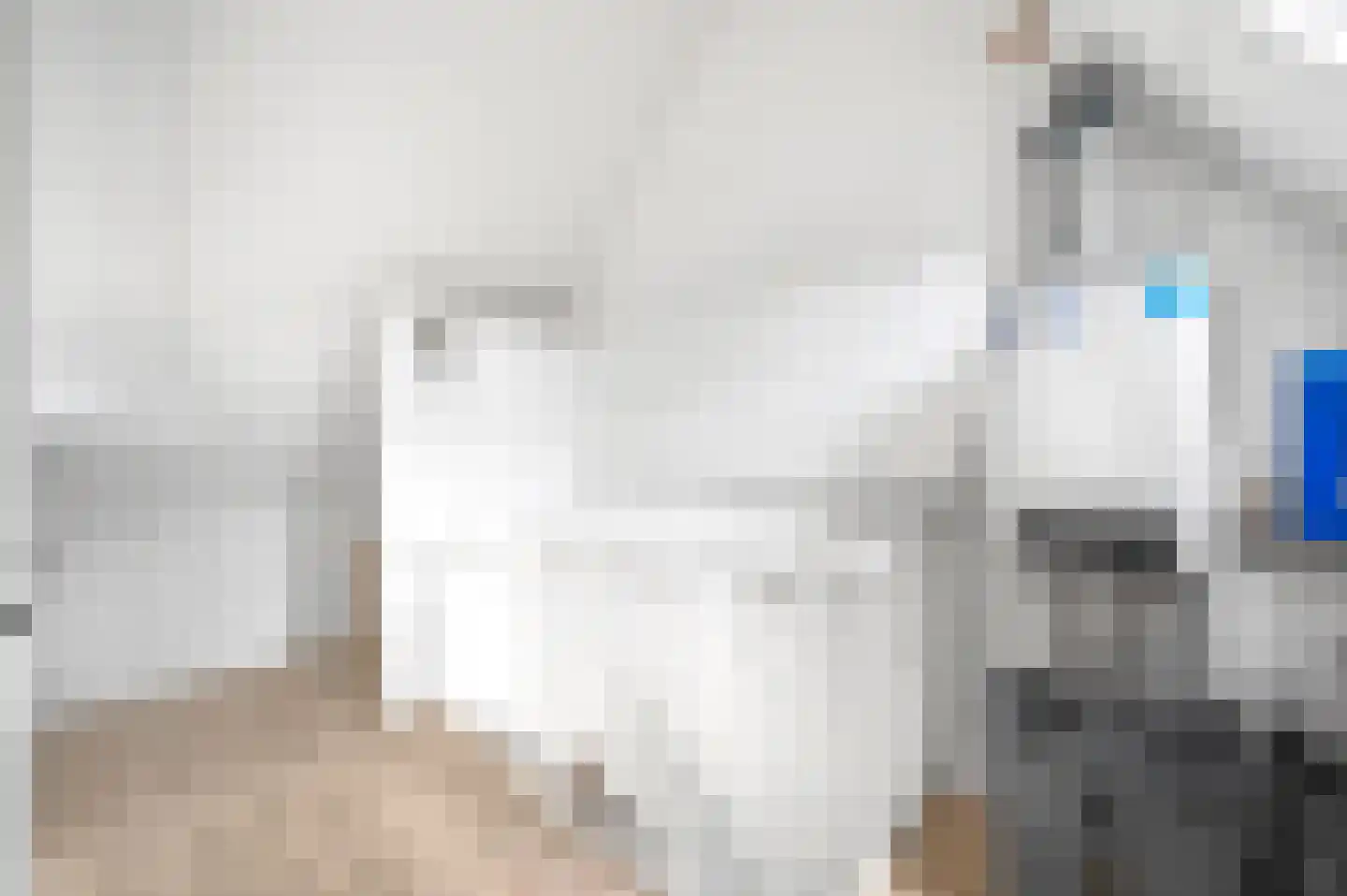 Hondsdraf 49 Maasland thumbnail 34