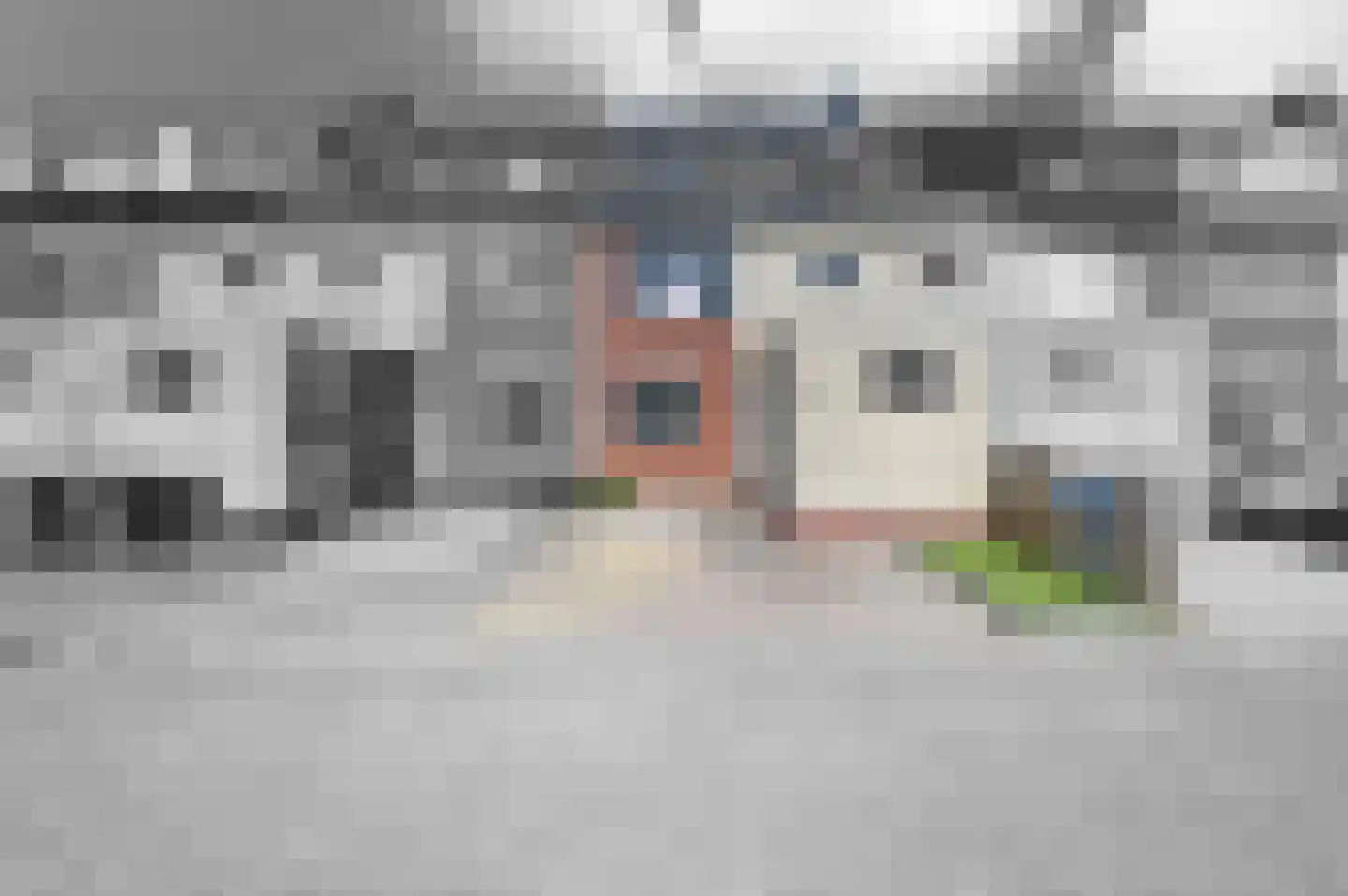 Hondsdraf 49 Maasland thumbnail 36