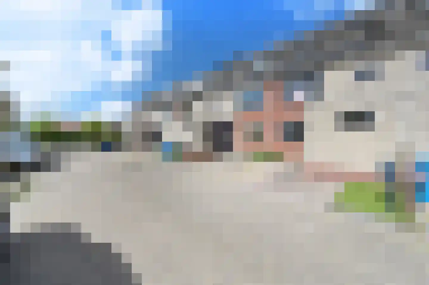 Hondsdraf 49 Maasland thumbnail 37