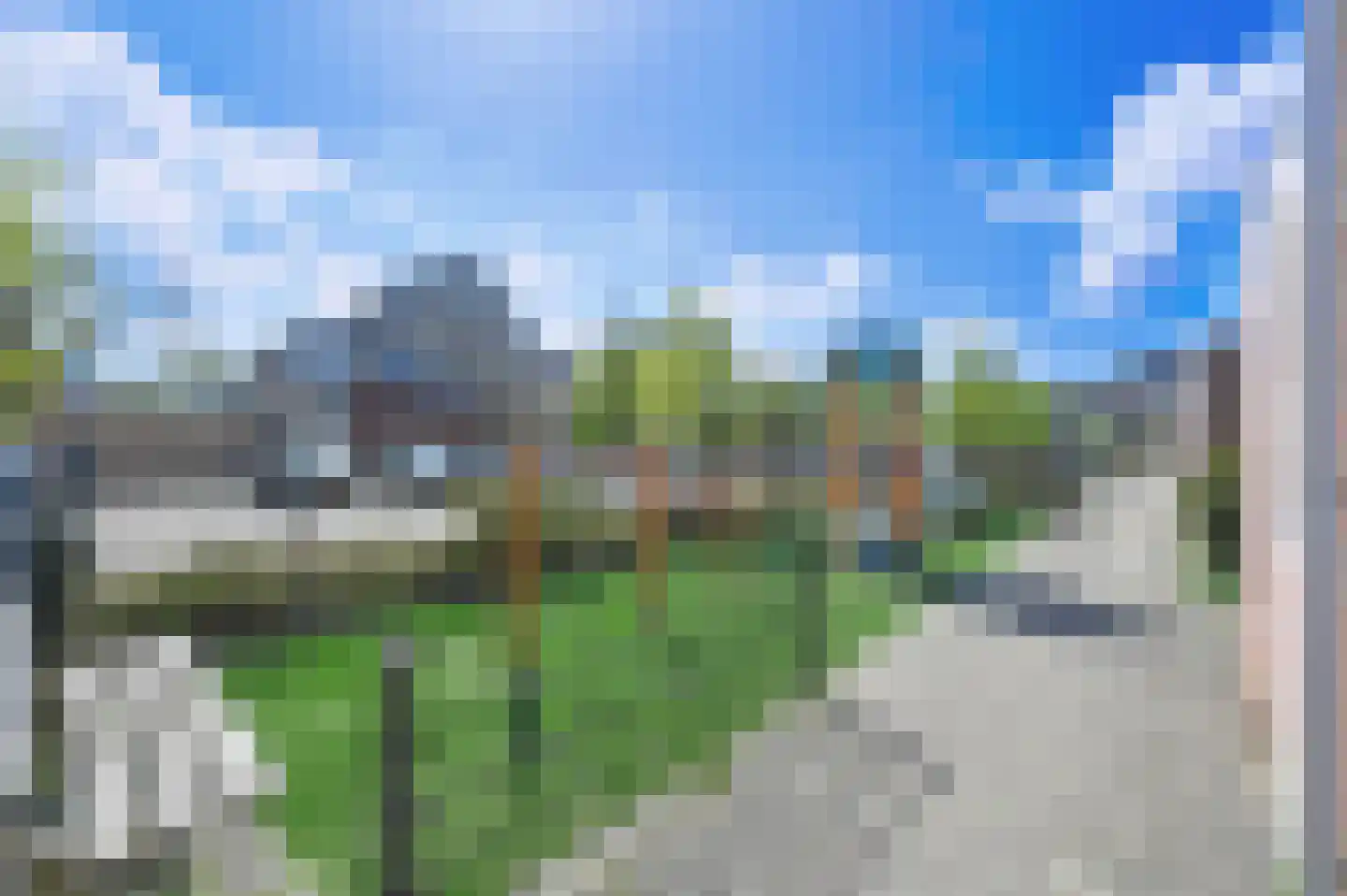 Hondsdraf 49 Maasland thumbnail 39