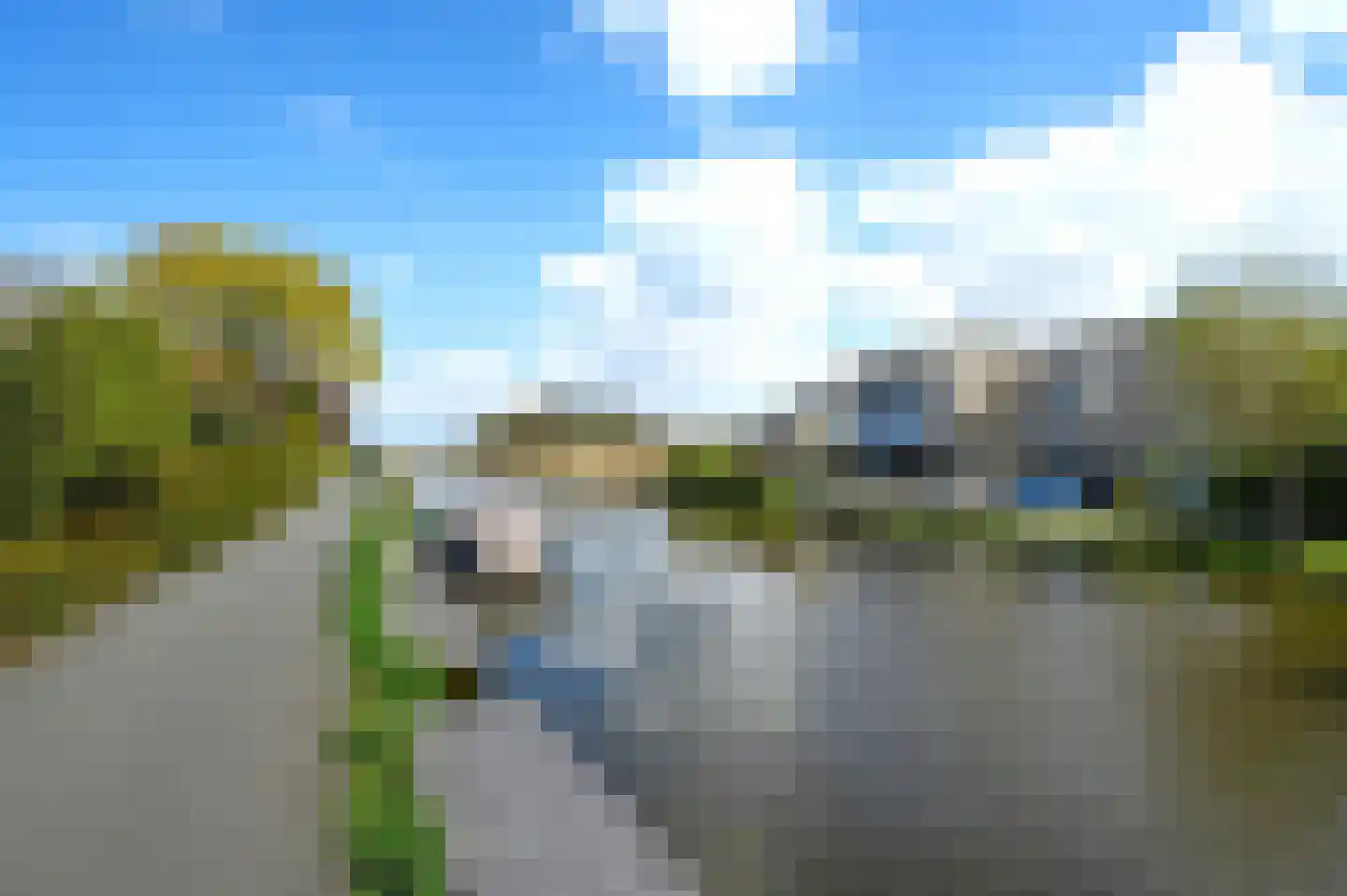 Hondsdraf 49 Maasland thumbnail 40