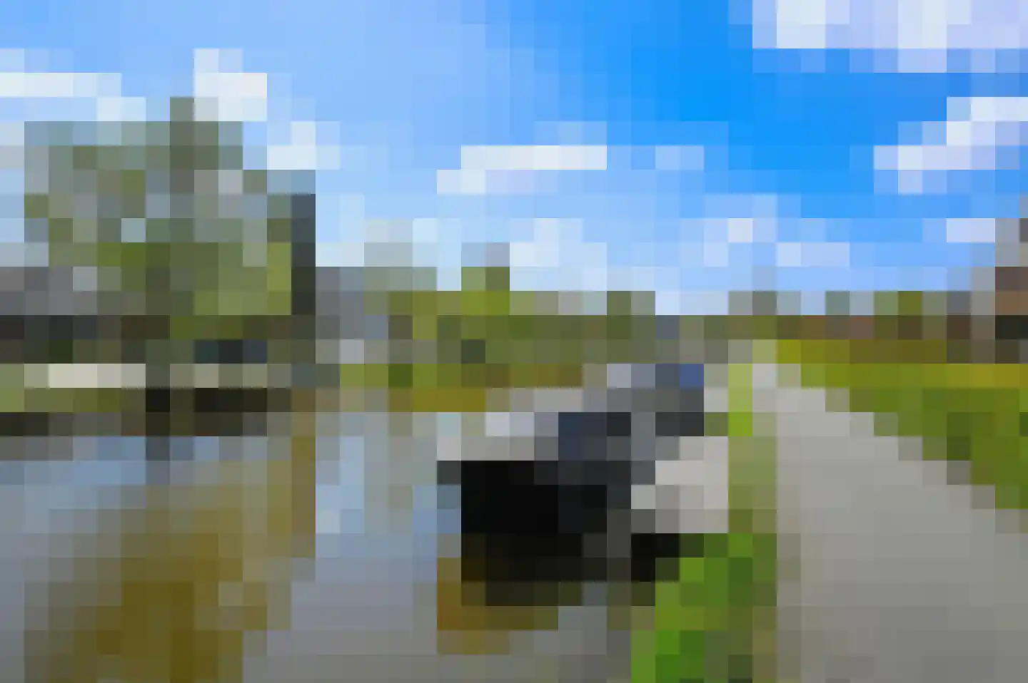 Hondsdraf 49 Maasland thumbnail 41