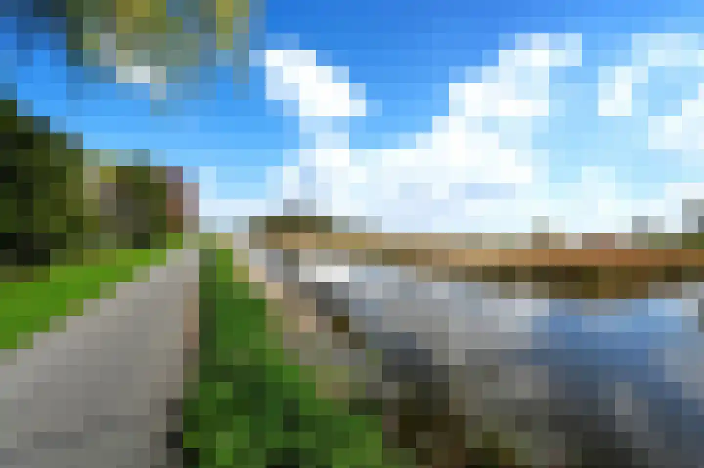 Hondsdraf 49 Maasland thumbnail 42