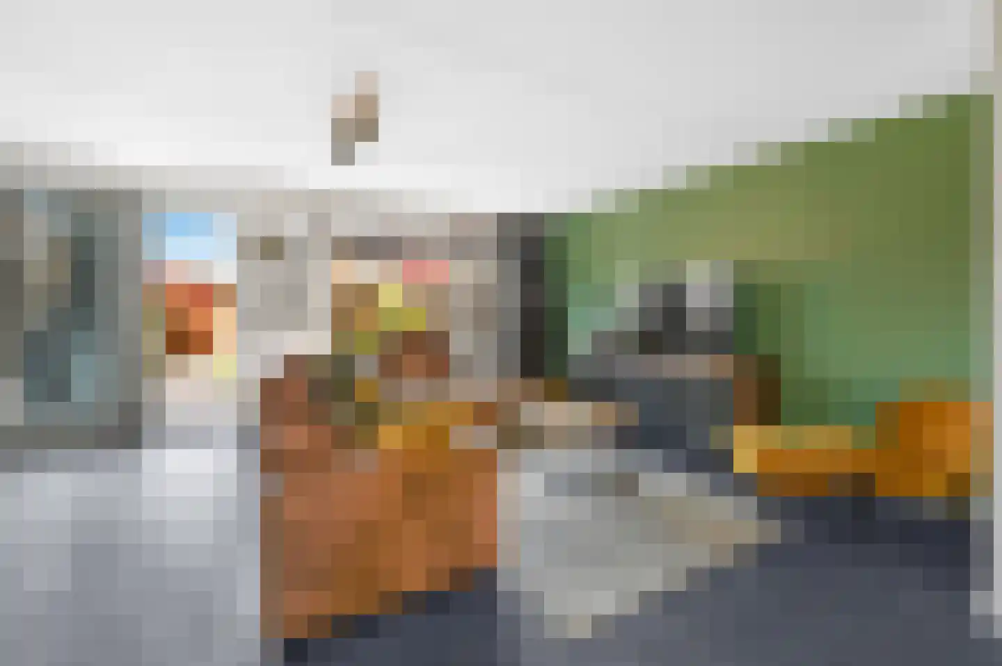 Hondsdraf 49 Maasland thumbnail 5