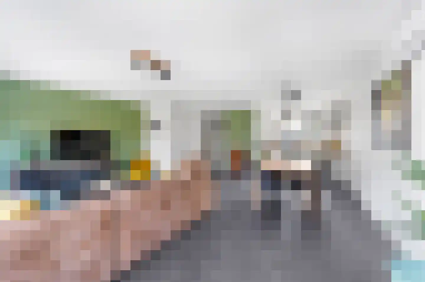 Hondsdraf 49 Maasland thumbnail 7