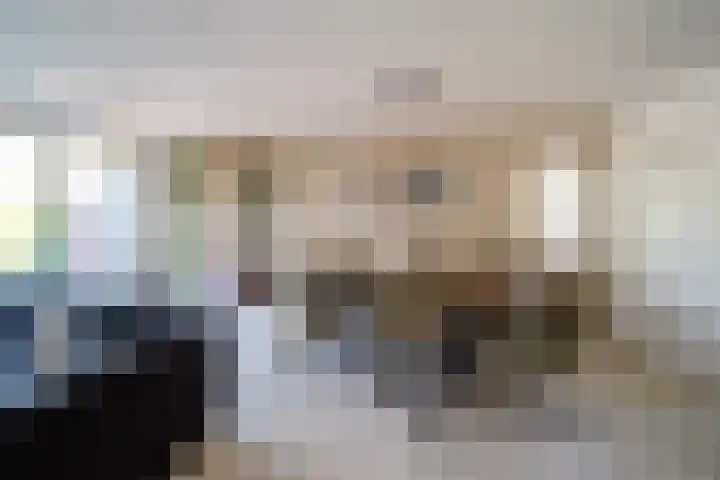 Hondsdraf 55 Maasland thumbnail 10