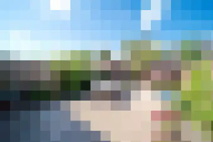 Hondsdraf 55 Maasland thumbnail 12