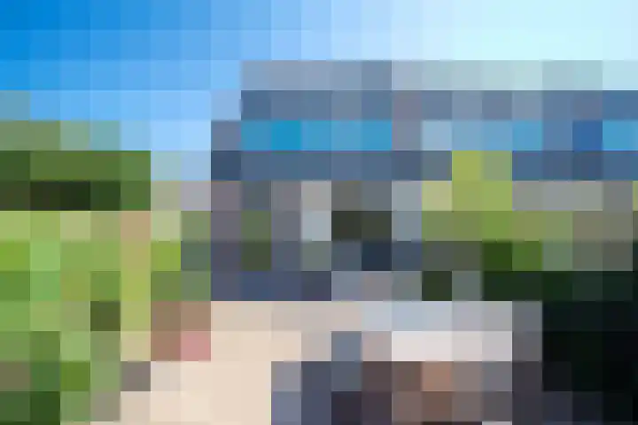 Hondsdraf 55 Maasland thumbnail 13