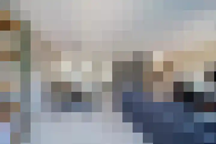 Hondsdraf 55 Maasland thumbnail 14