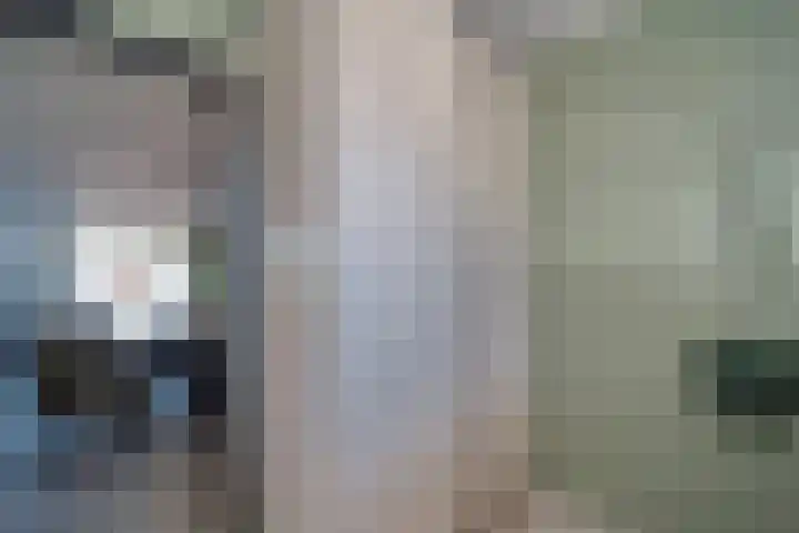 Hondsdraf 55 Maasland thumbnail 16
