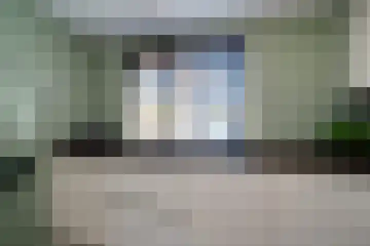 Hondsdraf 55 Maasland thumbnail 17