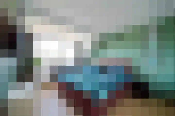 Hondsdraf 55 Maasland thumbnail 18