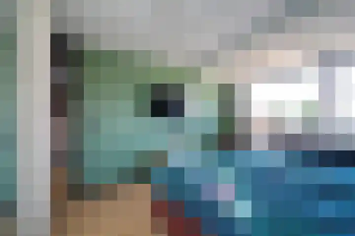 Hondsdraf 55 Maasland thumbnail 19