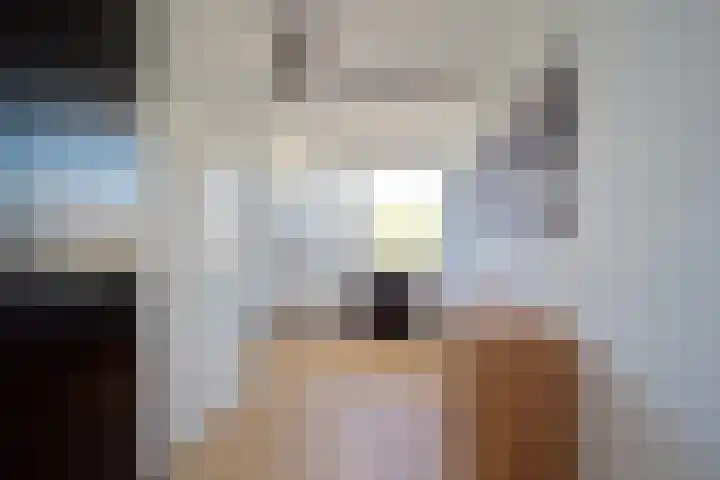 Hondsdraf 55 Maasland thumbnail 21