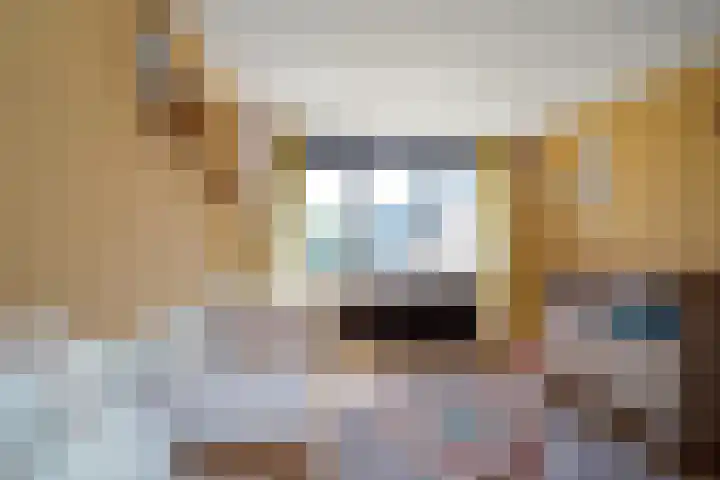 Hondsdraf 55 Maasland thumbnail 24