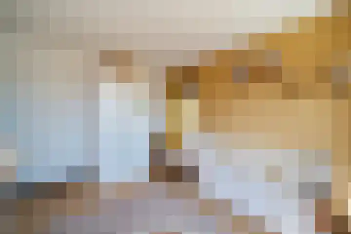 Hondsdraf 55 Maasland thumbnail 25