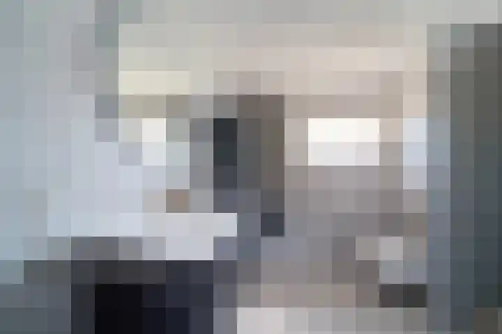 Hondsdraf 55 Maasland thumbnail 27