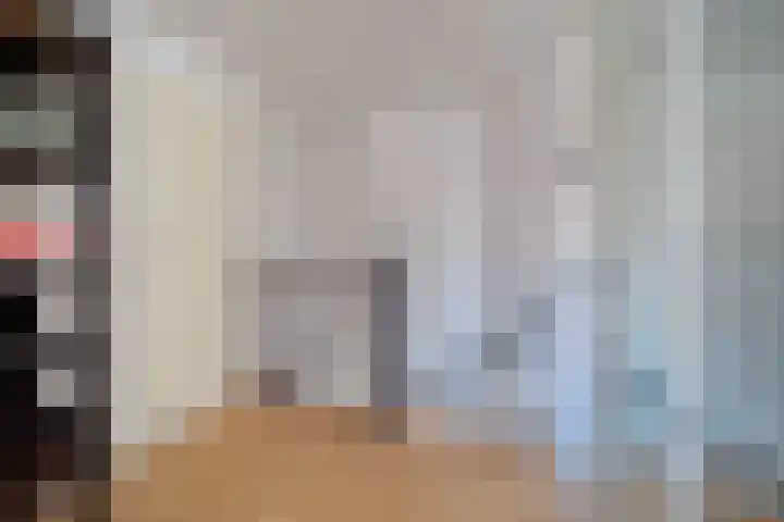 Hondsdraf 55 Maasland thumbnail 29