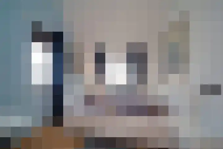 Hondsdraf 55 Maasland thumbnail 30