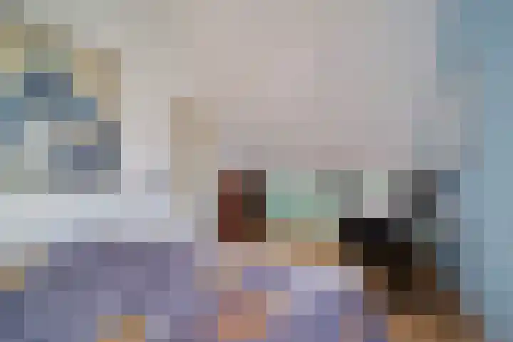 Hondsdraf 55 Maasland thumbnail 31