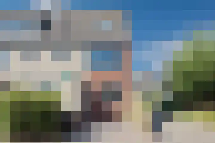 Hondsdraf 55 Maasland thumbnail 32