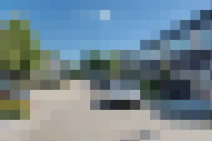 Hondsdraf 55 Maasland thumbnail 33