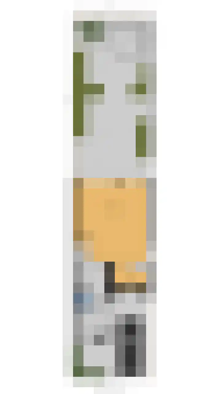 Hondsdraf 55 Maasland thumbnail 34