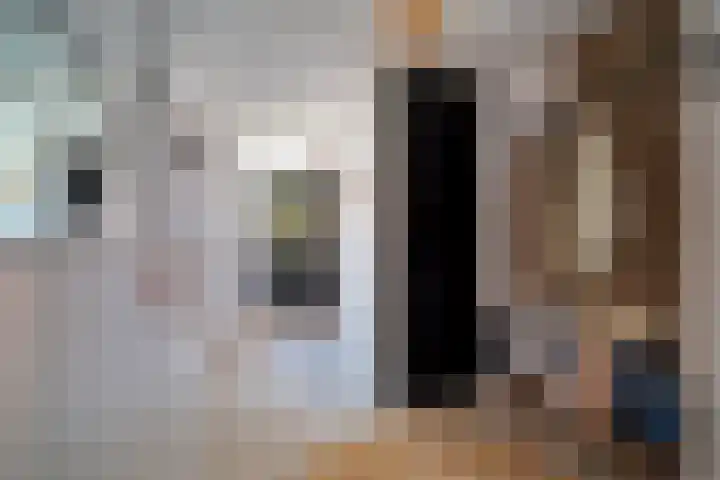 Hondsdraf 55 Maasland thumbnail 5