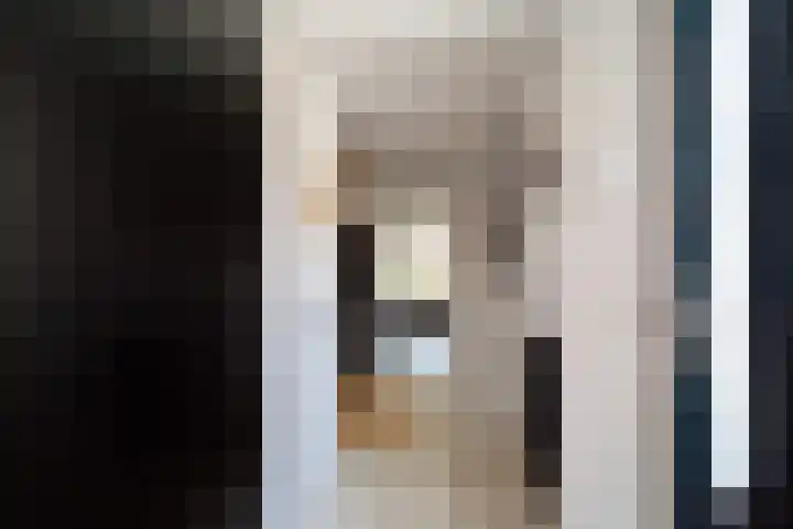 Hondsdraf 55 Maasland thumbnail 6