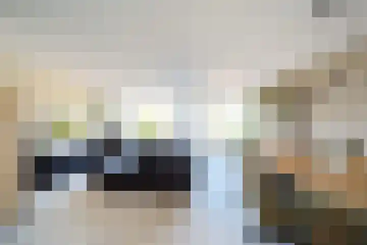 Hondsdraf 55 Maasland thumbnail 8
