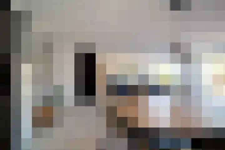 Hondsdraf 55 Maasland thumbnail 9