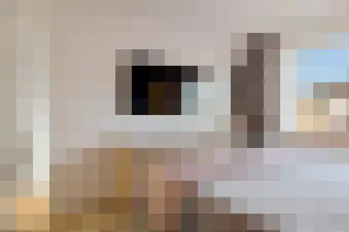 Hondsdraf 57 Swifterbant thumbnail 12