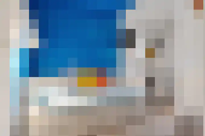 Hondsdraf 57 Swifterbant thumbnail 13