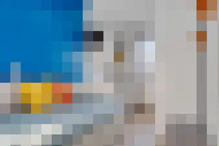 Hondsdraf 57 Swifterbant thumbnail 14