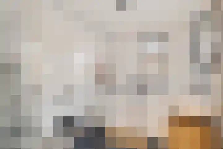 Hondsdraf 57 Swifterbant thumbnail 16