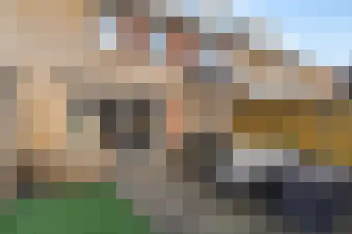 Hondsdraf 57 Swifterbant thumbnail 20