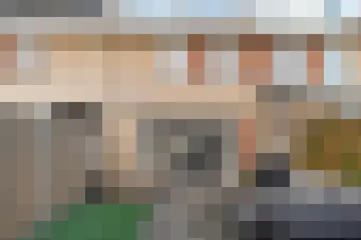 Hondsdraf 57 Swifterbant thumbnail 21