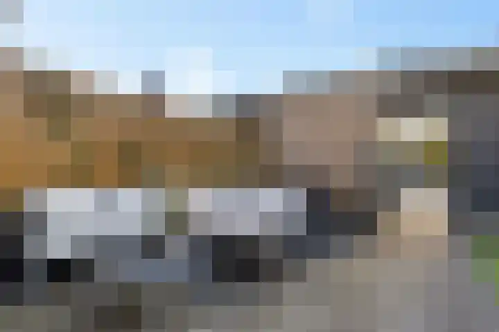 Hondsdraf 57 Swifterbant thumbnail 22