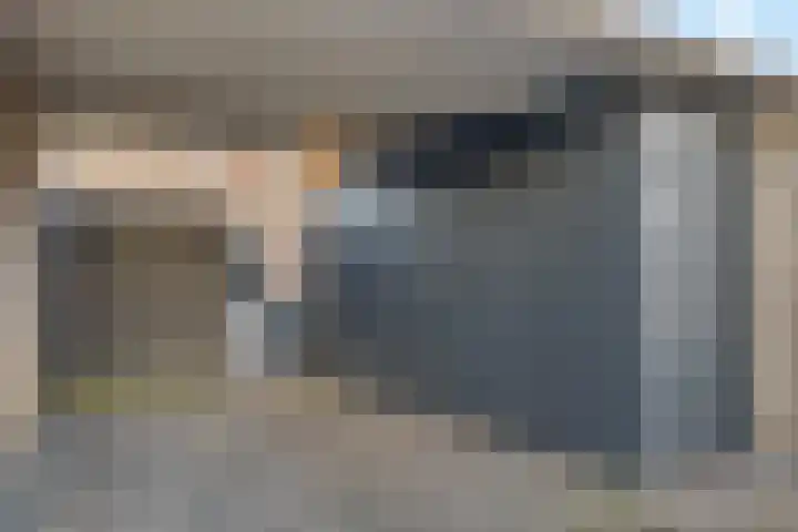 Hondsdraf 57 Swifterbant thumbnail 23