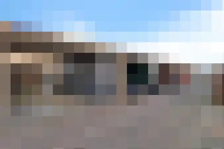 Hondsdraf 57 Swifterbant thumbnail 24