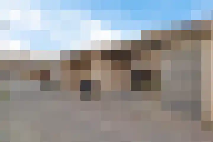 Hondsdraf 57 Swifterbant thumbnail 25